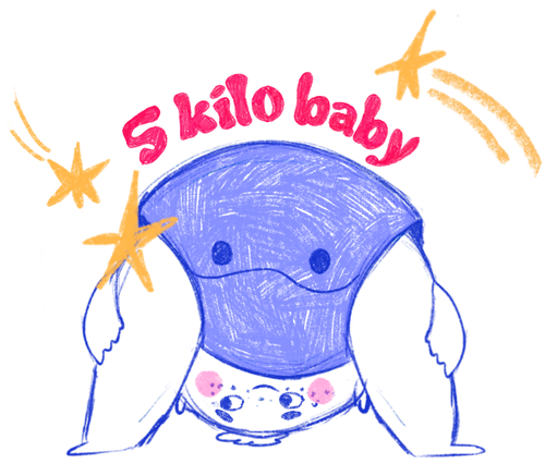 5 Kilo Baby