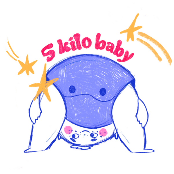 5 Kilo Baby